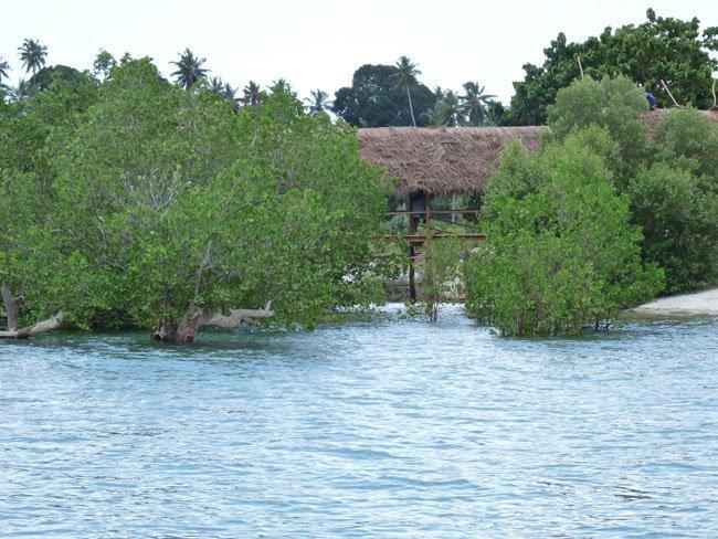 Pemba Misali Sunset Beach Wesha Экстерьер фото